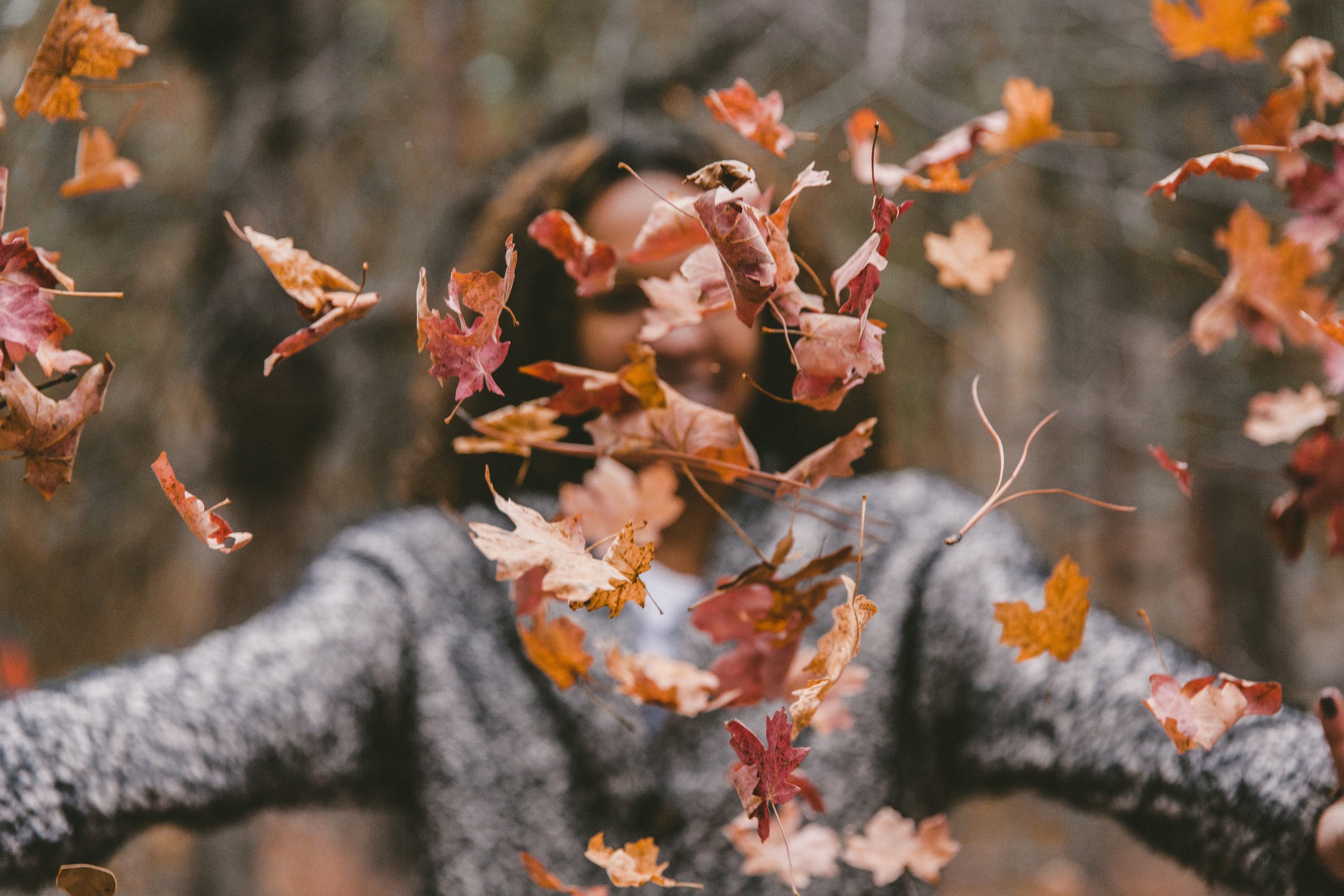 Fall Style Essentials